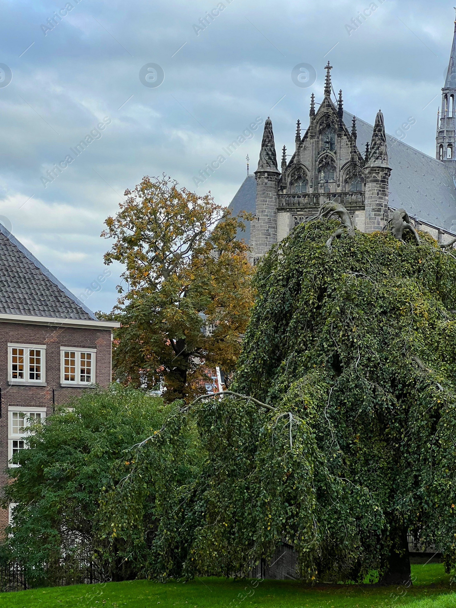 Photo of Picturesque view of castle and trees on sunny day