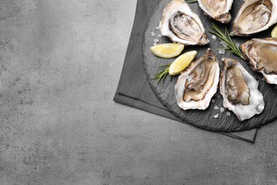 Delicious fresh oysters with lemon slices served on grey table, top view. Space for text