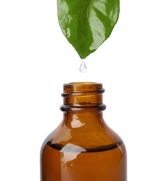 Essential oil dripping from green leaf into bottle against white background