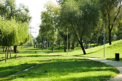 Quiet park with green trees and pathway on sunny day