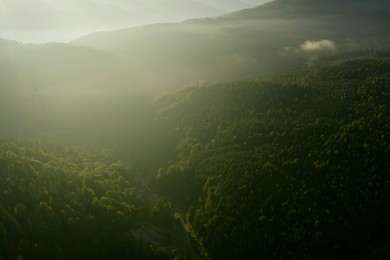 Aerial view of green trees and road in mountains on sunny day. Drone photography