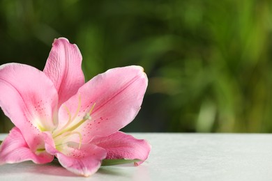Photo of Beautiful pink lily flower on white table against blurred green background. Space for text