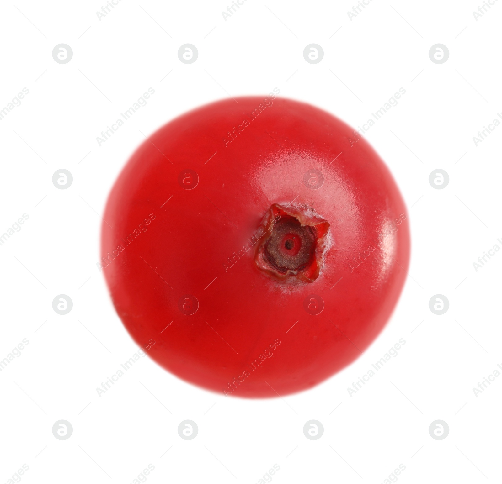 Photo of Fresh ripe cranberry isolated on white. Mulled wine ingredient