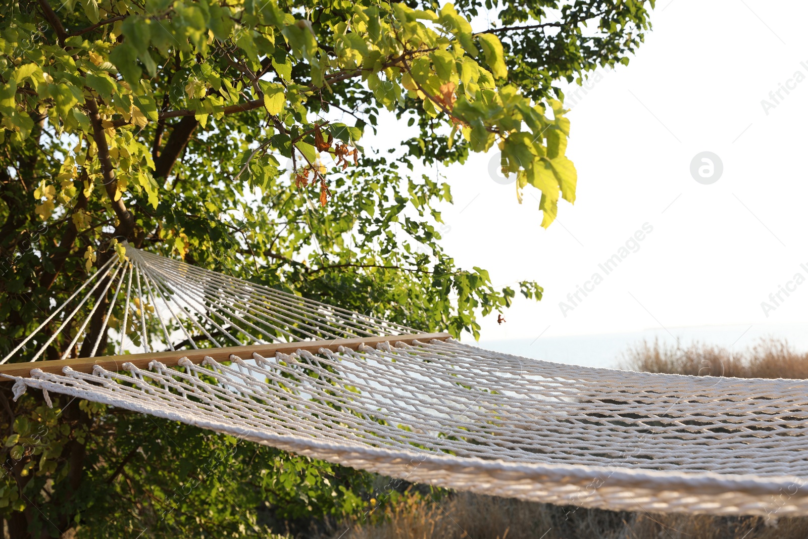 Photo of Empty hammock hanging outdoors. Time to relax