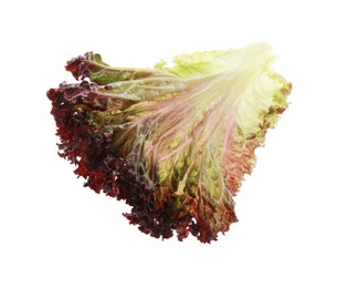 Photo of Leaf of fresh red coral lettuce isolated on white