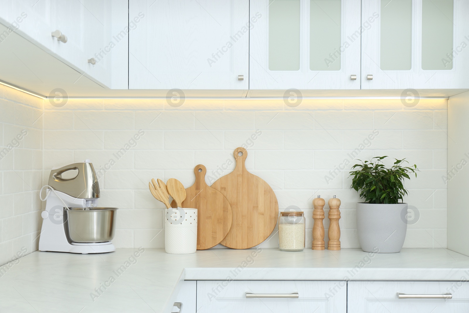 Photo of Different kitchen items and houseplant on countertop indoors