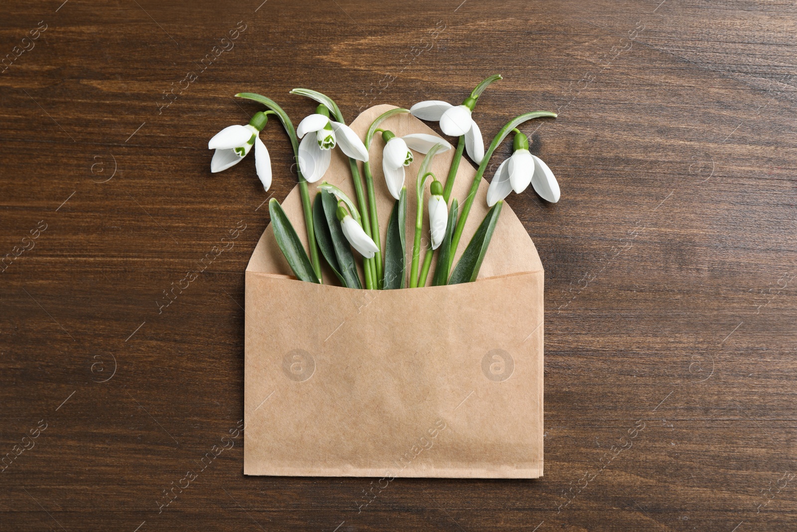 Photo of Beautiful snowdrops in envelope on wooden table, top view
