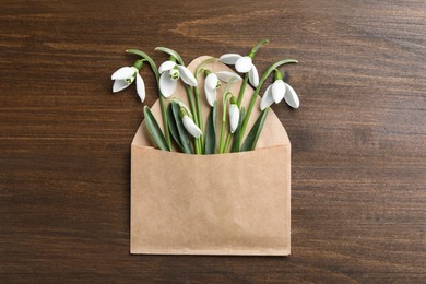 Photo of Beautiful snowdrops in envelope on wooden table, top view