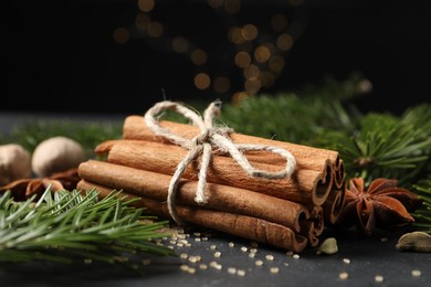 Different spices and fir branches on gray table, closeup