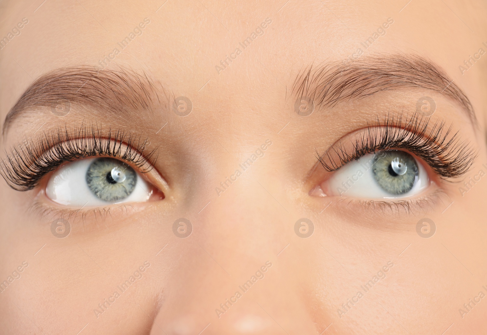 Photo of Young woman with beautiful long eyelashes, closeup. Extension procedure