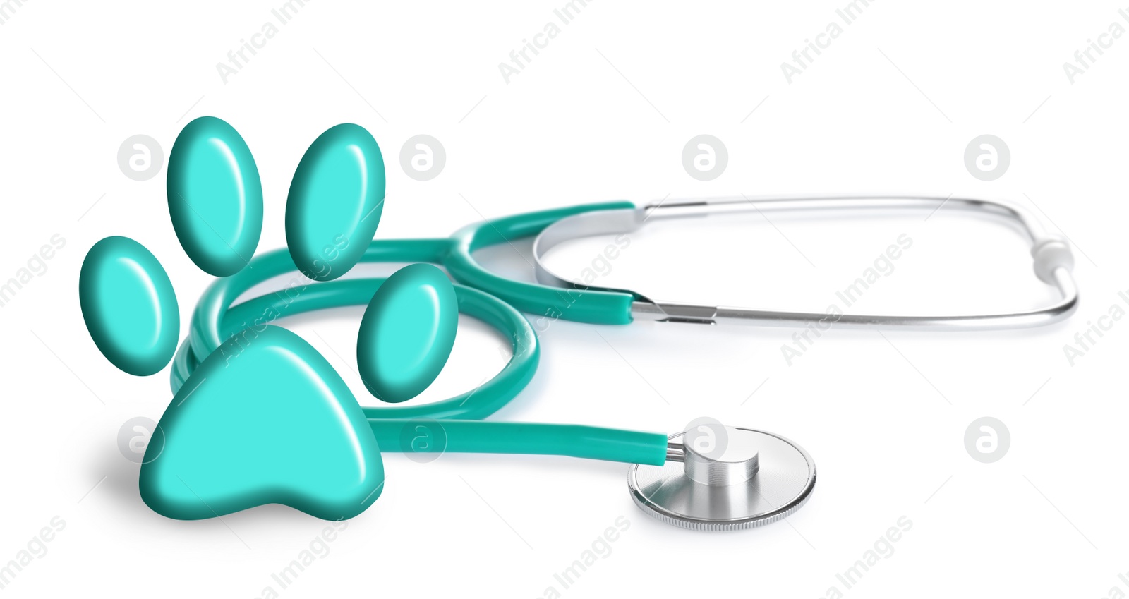 Image of Stethoscope and animal paw on white background