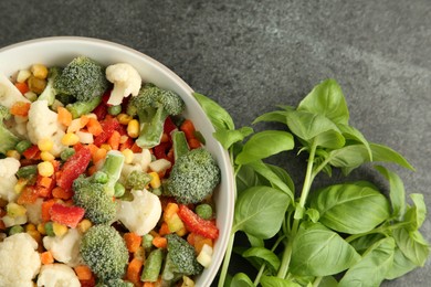 Photo of Different frozen vegetables and fresh basil on grey table, flat lay