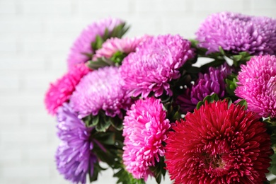 Photo of Beautiful aster flowers on white background, closeup