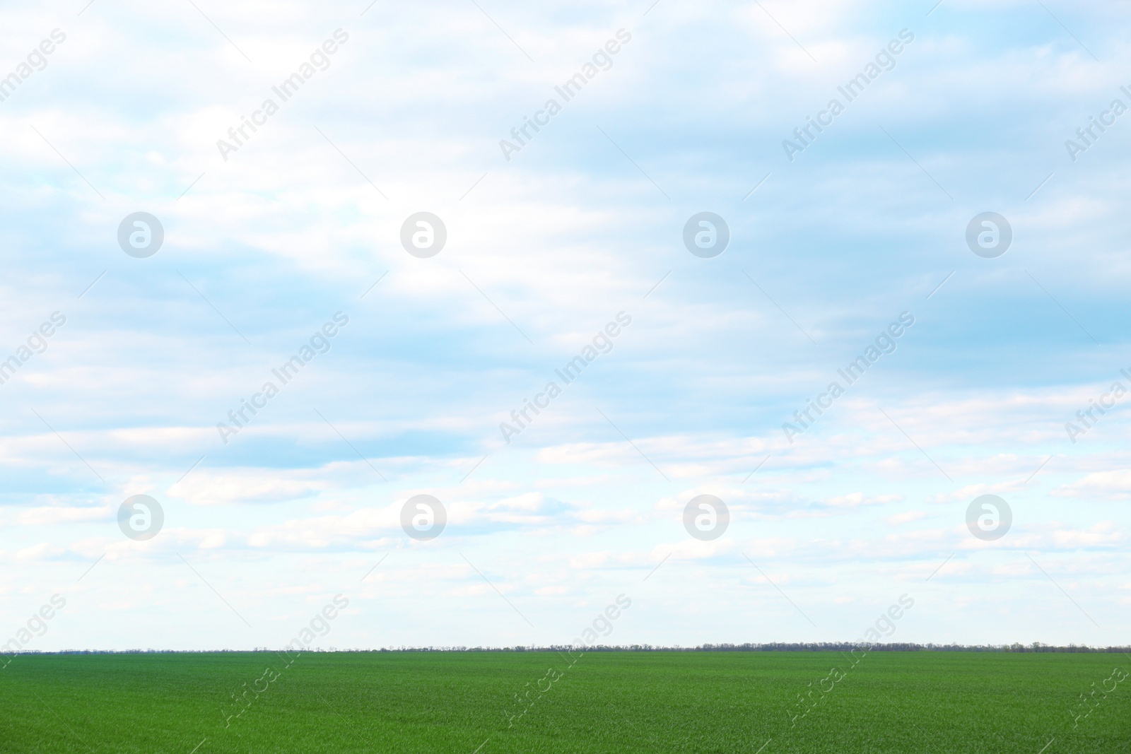 Photo of Picturesque view of green agricultural field on cloudy day