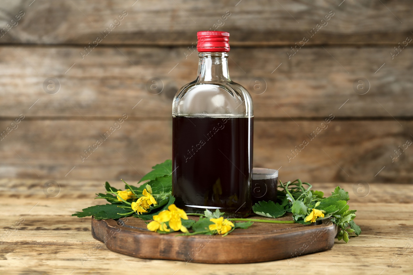 Photo of Bottle of celandine tincture and plant on wooden table