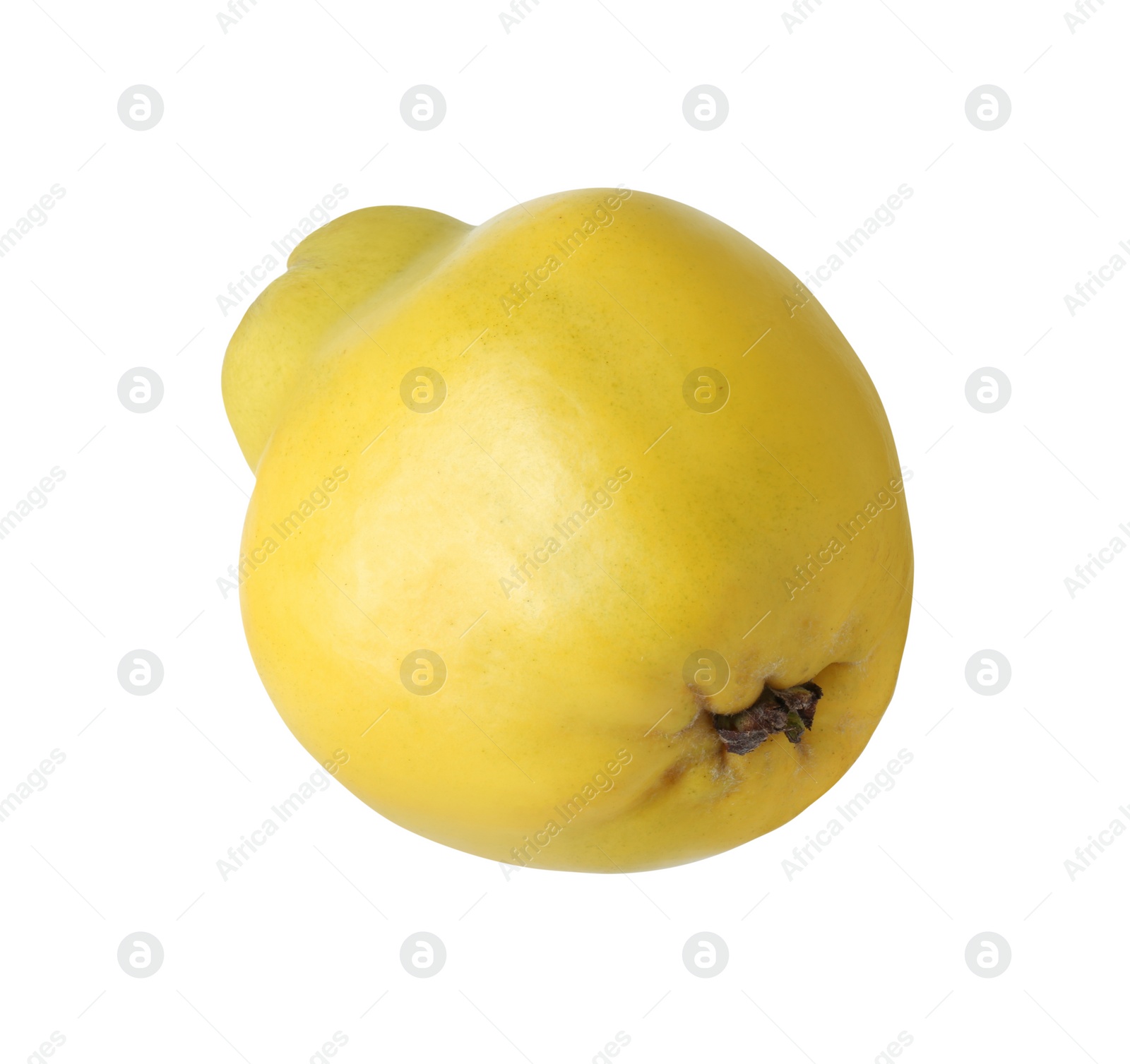 Photo of Delicious fresh ripe quince isolated on white