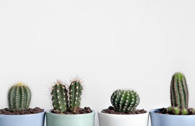 Photo of Many different beautiful cacti against white wall. Space for text