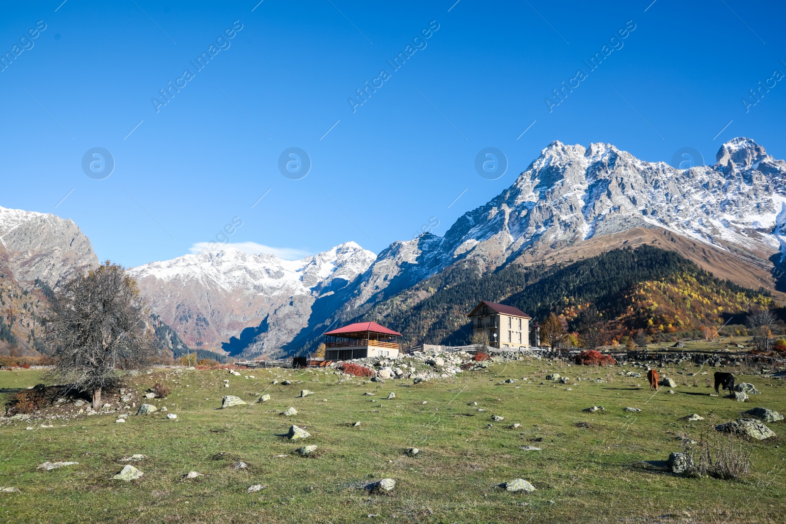 Photo of Picturesque view of beautiful high mountains on sunny day