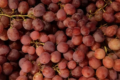 Photo of Fresh ripe grapes as background, top view