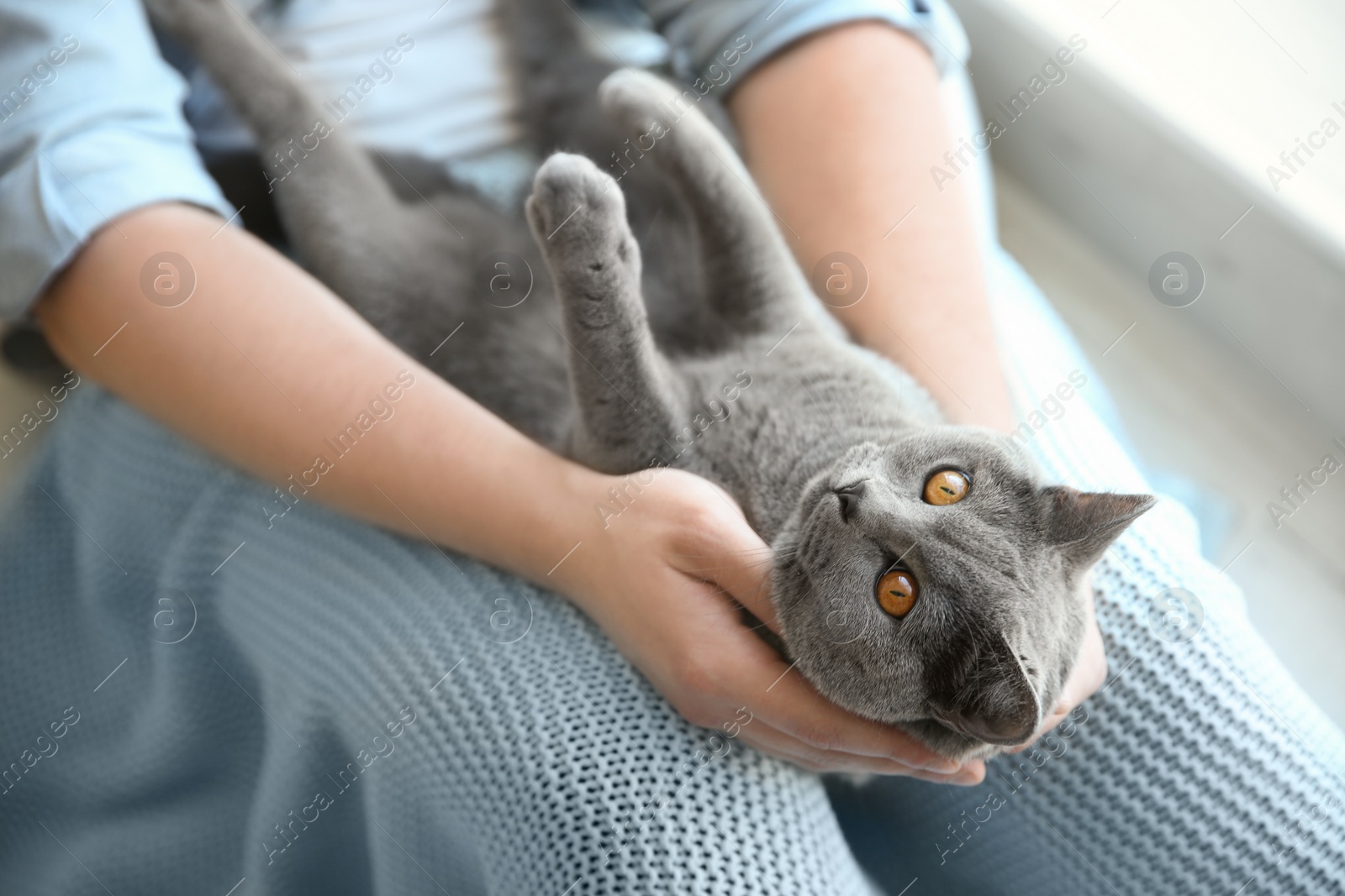 Photo of Man with cute cat indoors, closeup view