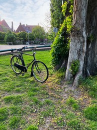 Photo of Modern bicycle near tree on green grass outdoors