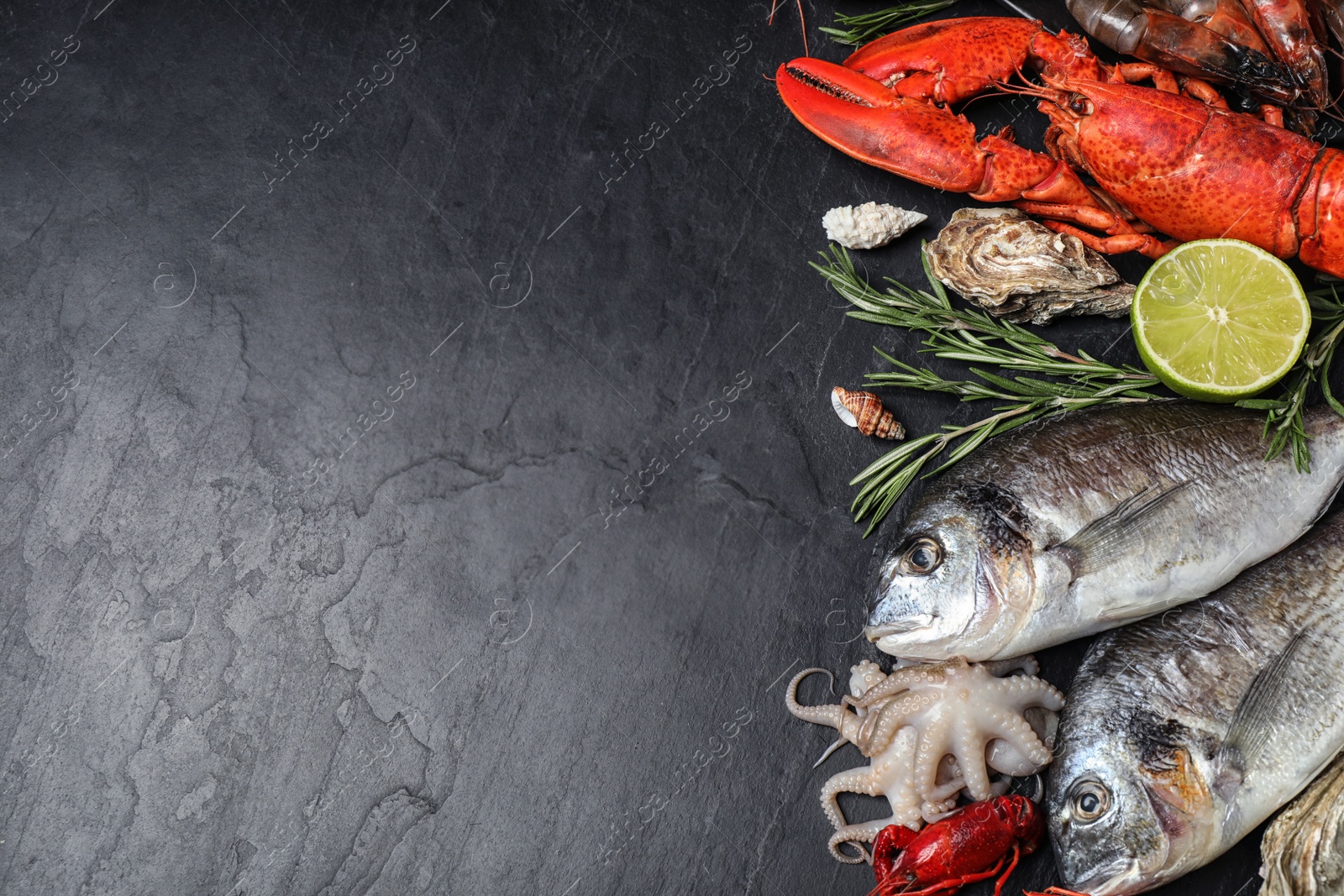 Photo of Fresh fish and different seafood on black table, flat lay. Space for text