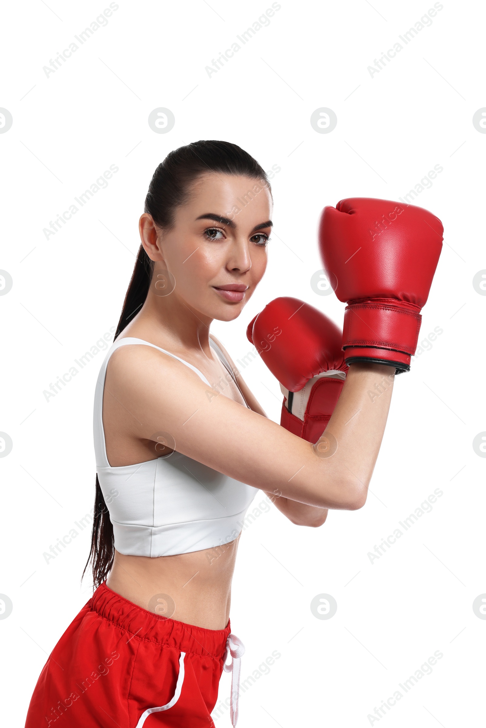 Photo of Beautiful woman in boxing gloves on white background