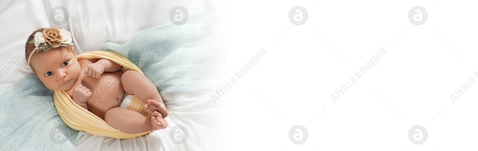 Image of Adorable newborn baby on bed, top view with space for text. Banner design
