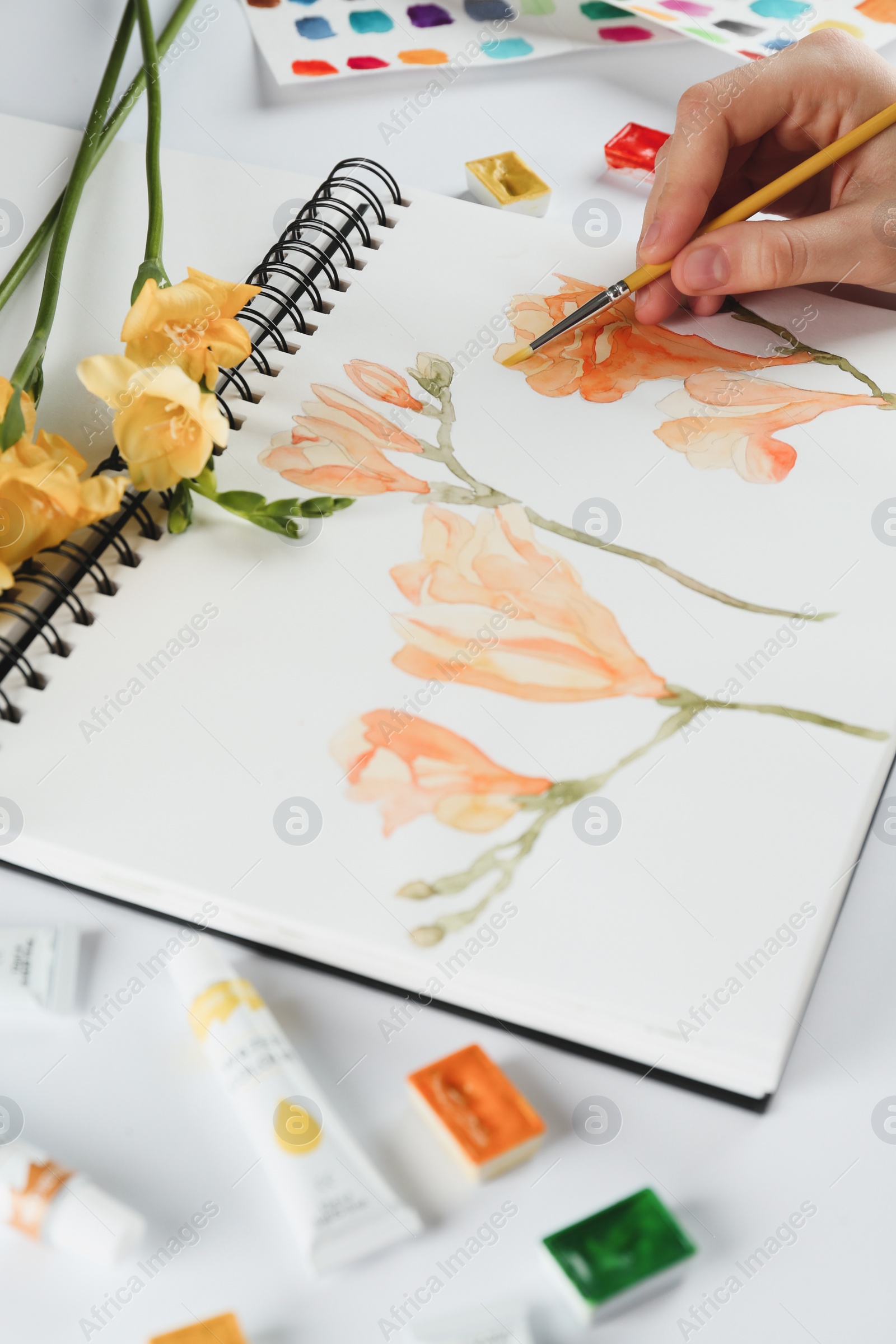 Photo of Woman painting freesias in sketchbook at white table, closeup