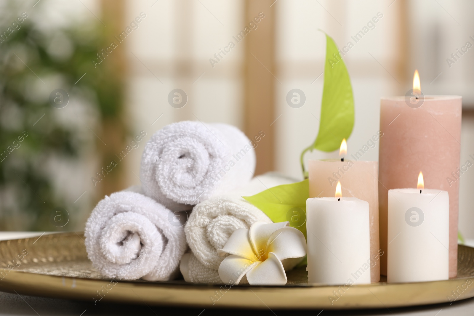 Photo of Spa composition. Burning candles, plumeria flower, green leaves and towels on table indoors