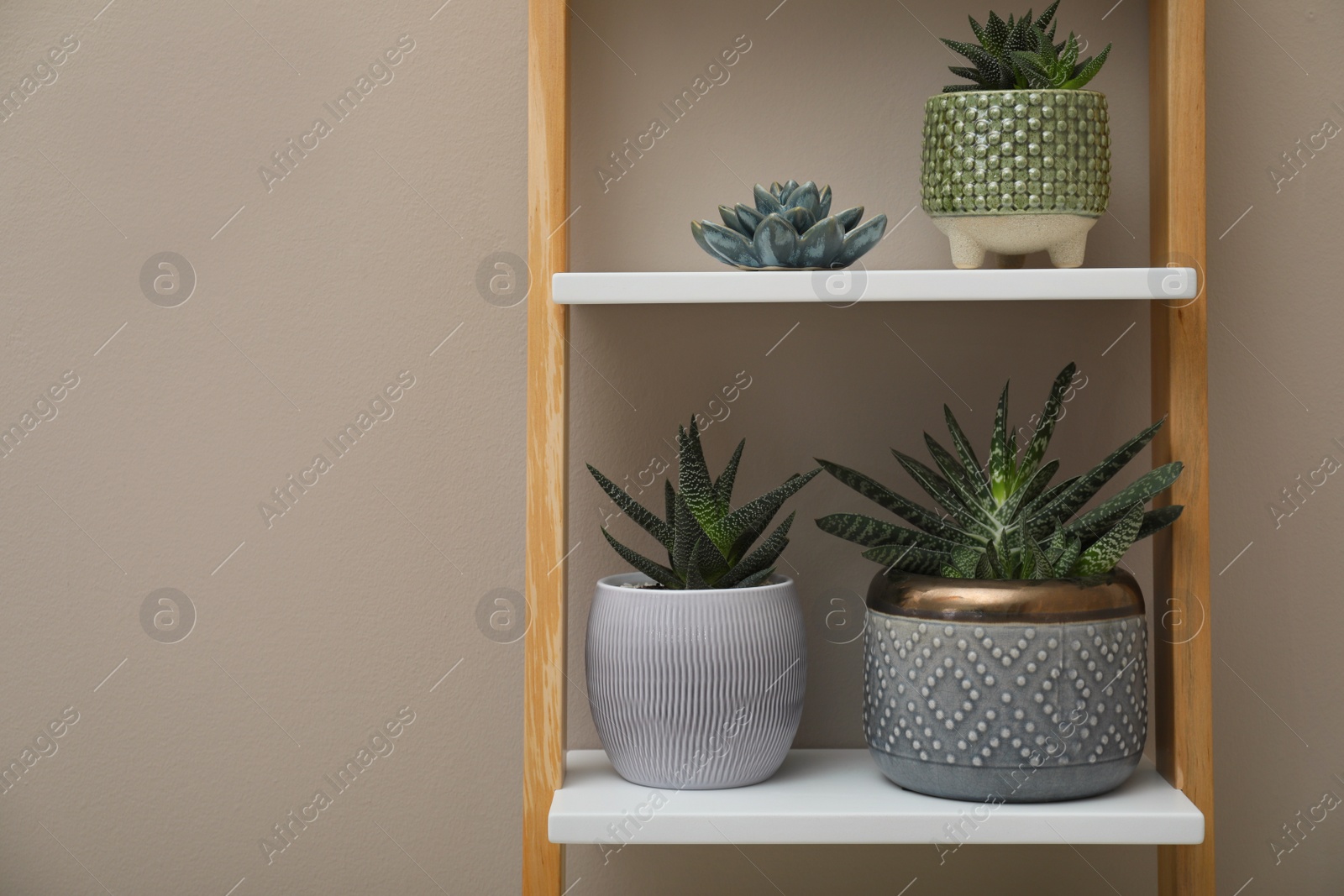 Photo of Beautiful houseplants on shelving unit near beige wall. Space for text