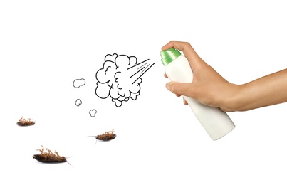 Image of Pest control. Using household insecticide to kill cockroaches on white background, closeup. Illustration