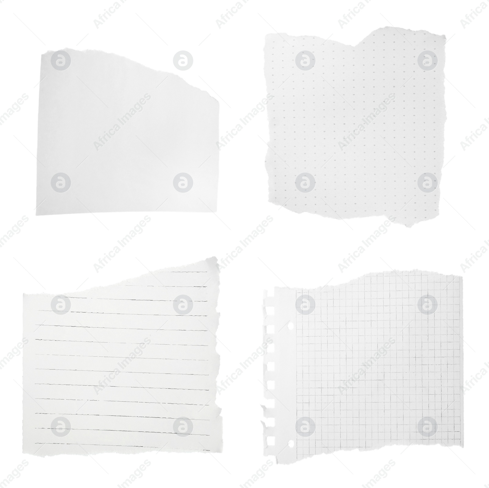 Image of Set of different ripped notebook papers on white background