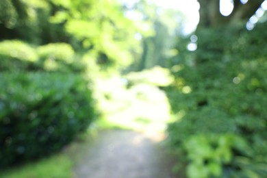 Photo of Blurred view of beautiful green trees and shrubs in garden on sunny day