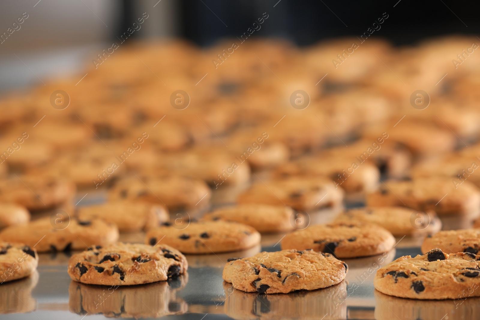 Photo of Many delicious cookies on production line, closeup