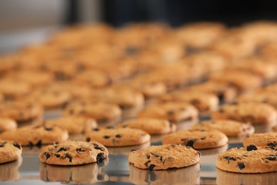 Many delicious cookies on production line, closeup