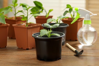 Photo of Seedlings growing in plastic containers with soil, gardening shovel and spray bottle on wooden table