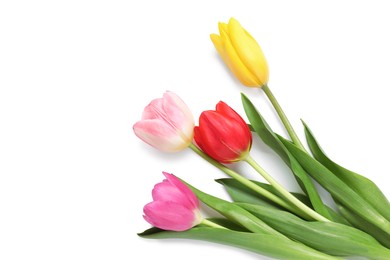 Beautiful colorful tulips on white background, top view