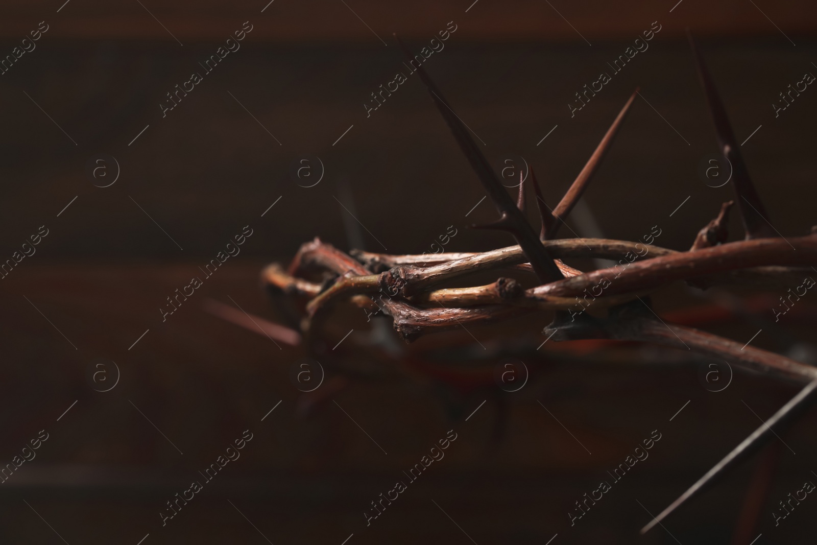 Photo of Crown of thorns on wooden background, closeup with space for text. Easter attribute