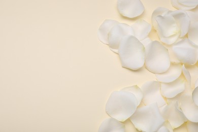 Photo of Beautiful white rose flower petals on beige background, flat lay. Space for text