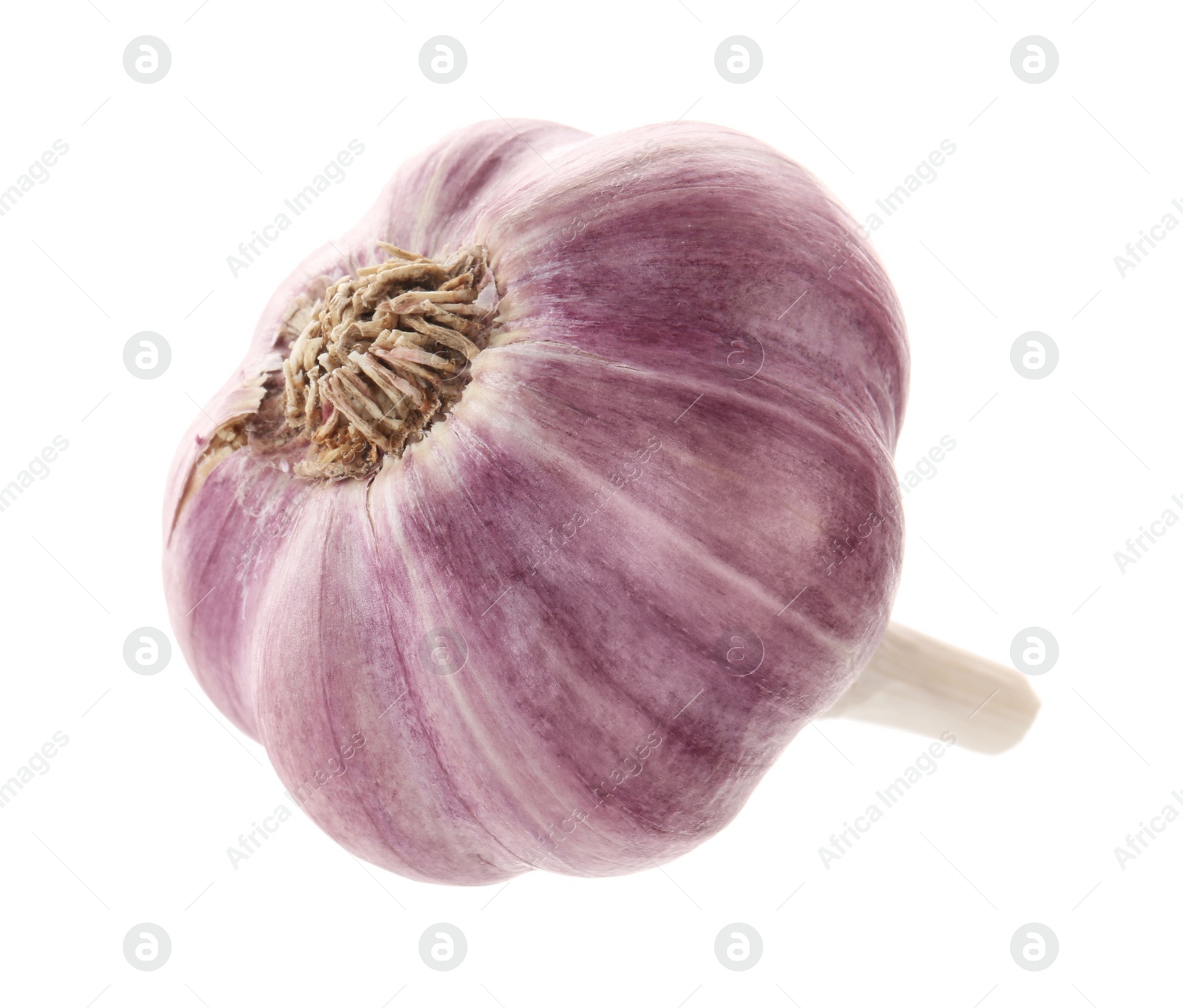 Photo of Unpeeled head of fresh garlic isolated on white