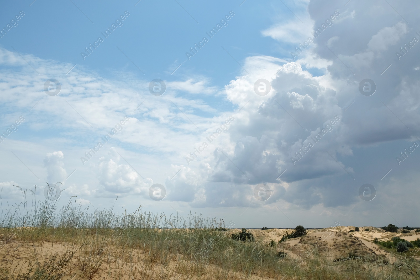 Photo of Picturesque landscape of desert with green grass and blue sky