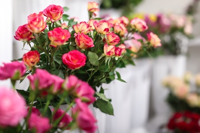 Beautiful flowers in shop