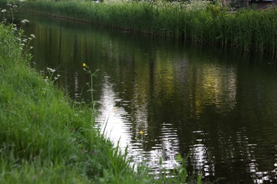 Photo of Beautiful view of channel with green reeds outdoors