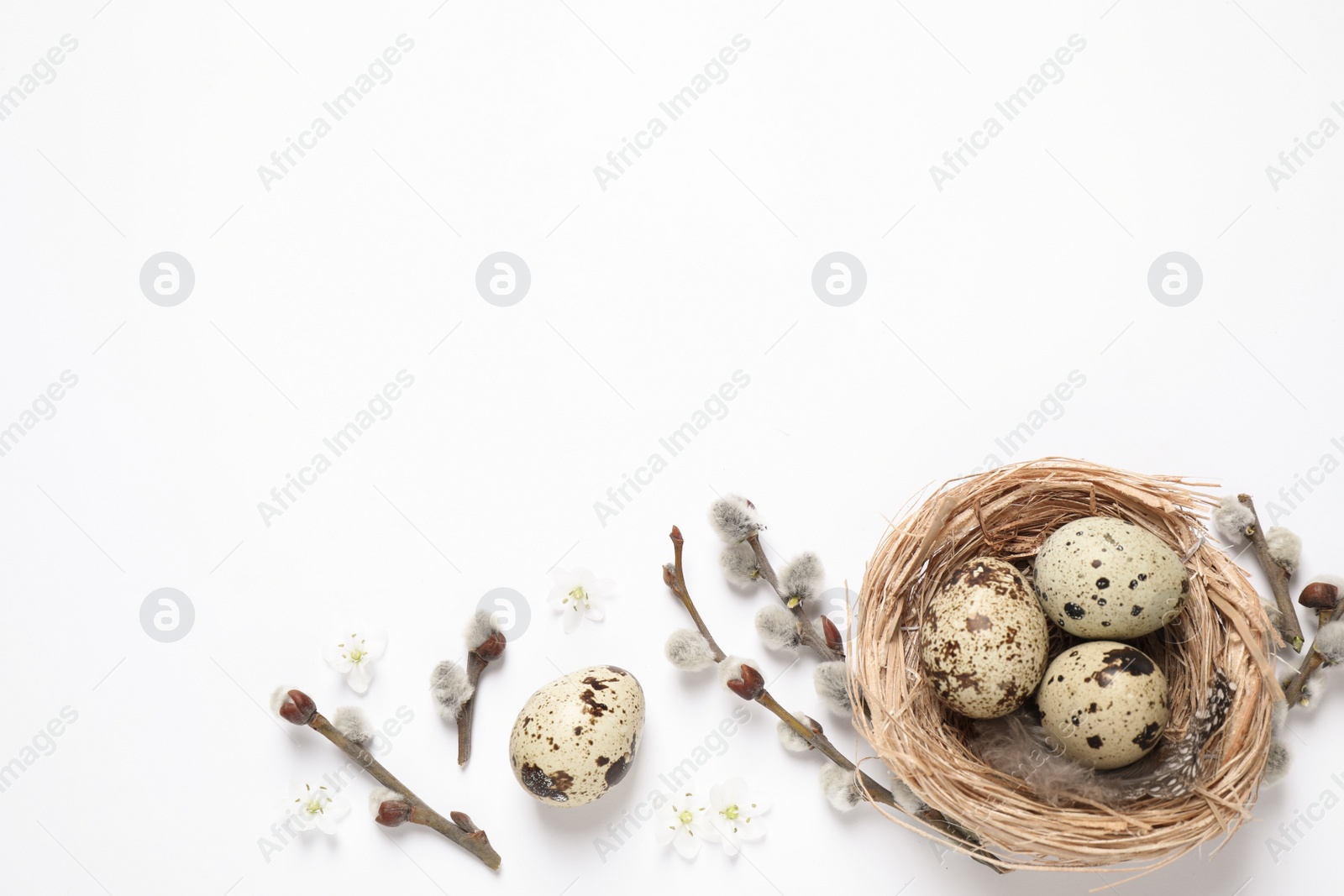 Photo of Flat lay composition with quail eggs on white background, space for text. Easter celebration