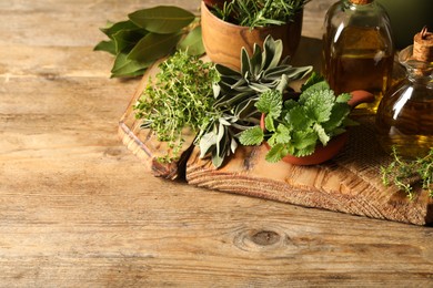Different fresh herbs with oils on wooden table. Space for text