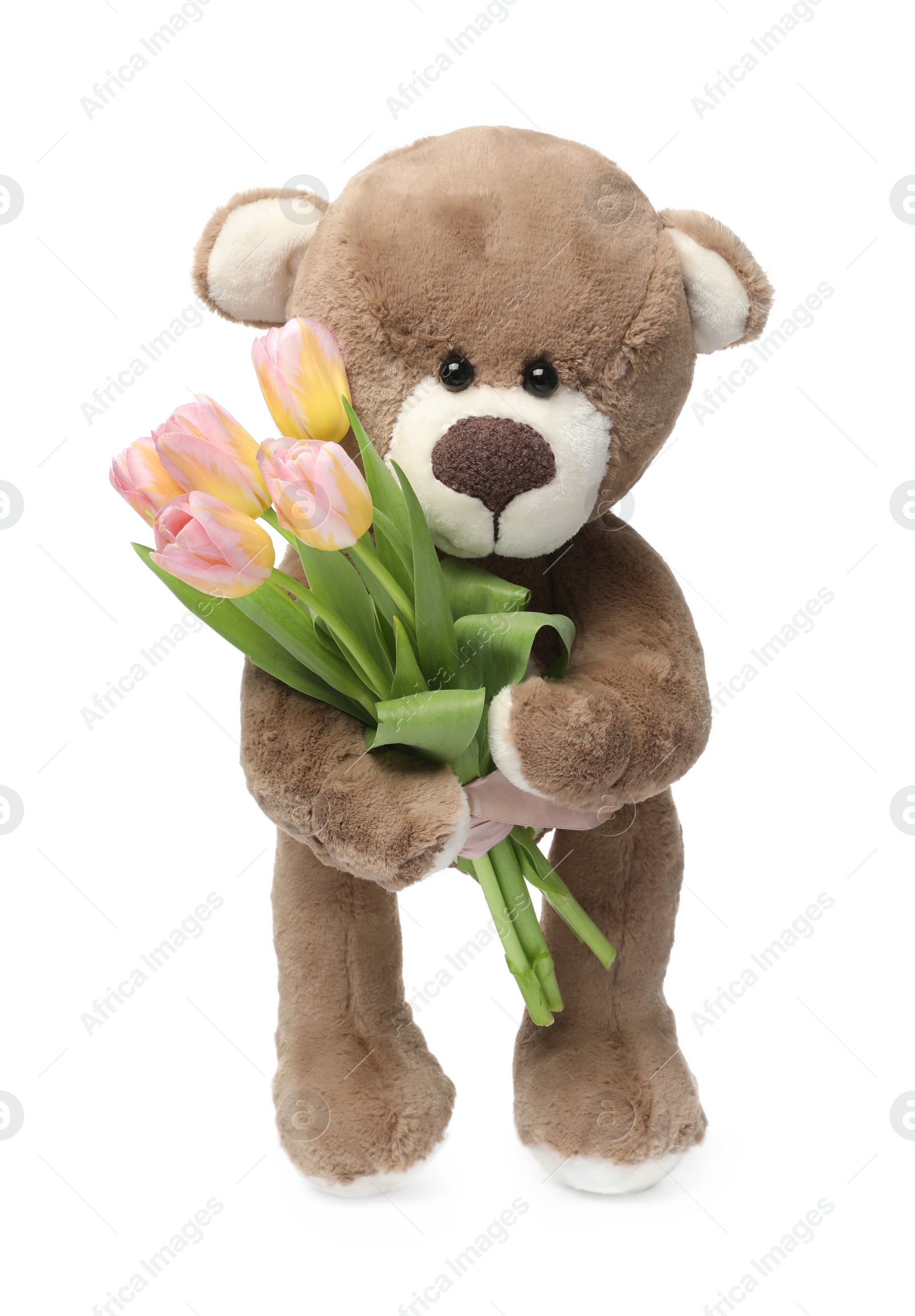 Photo of Cute teddy bear with beautiful tulips isolated on white