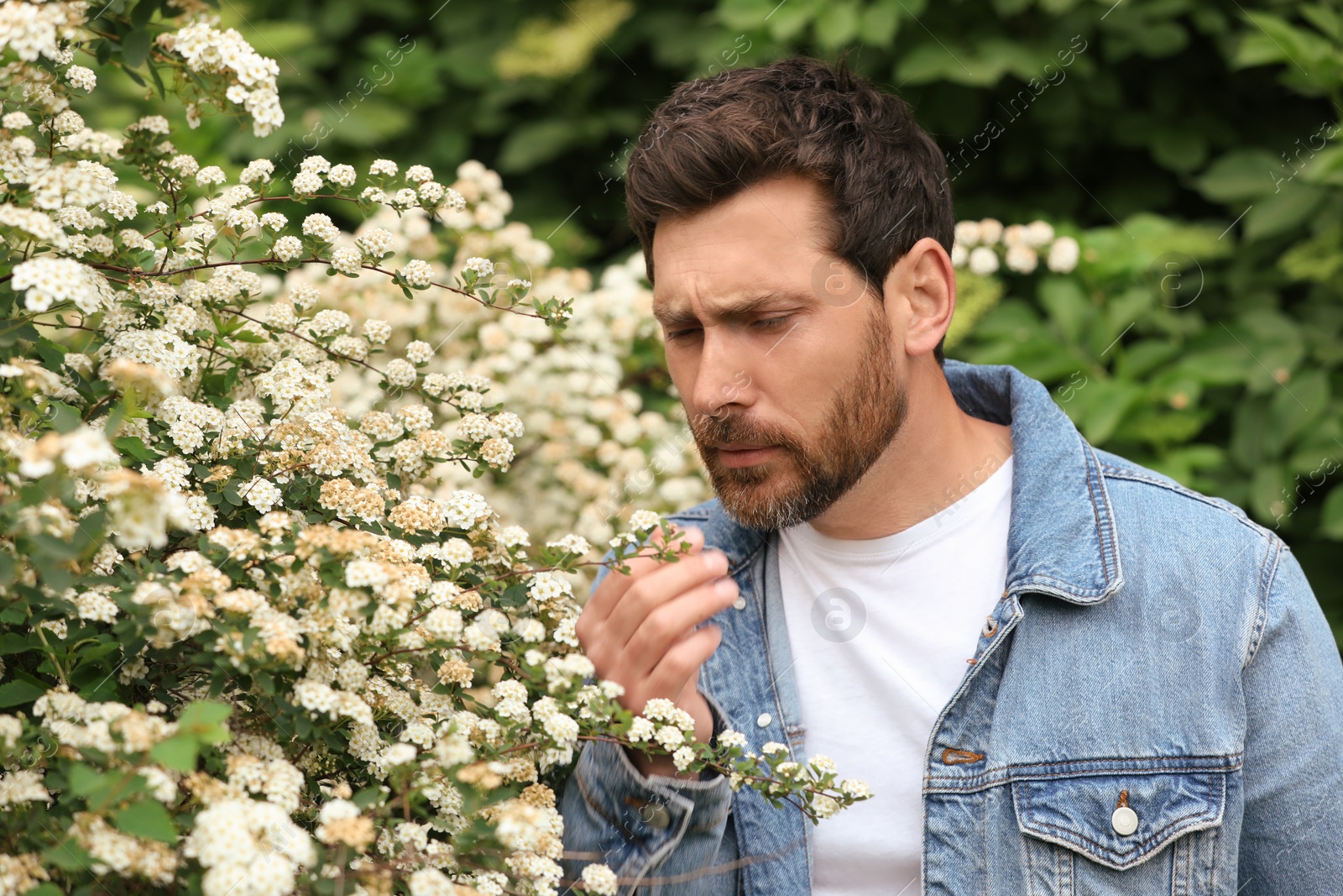 Photo of Man suffering from seasonal pollen allergy near blossoming tree on spring day