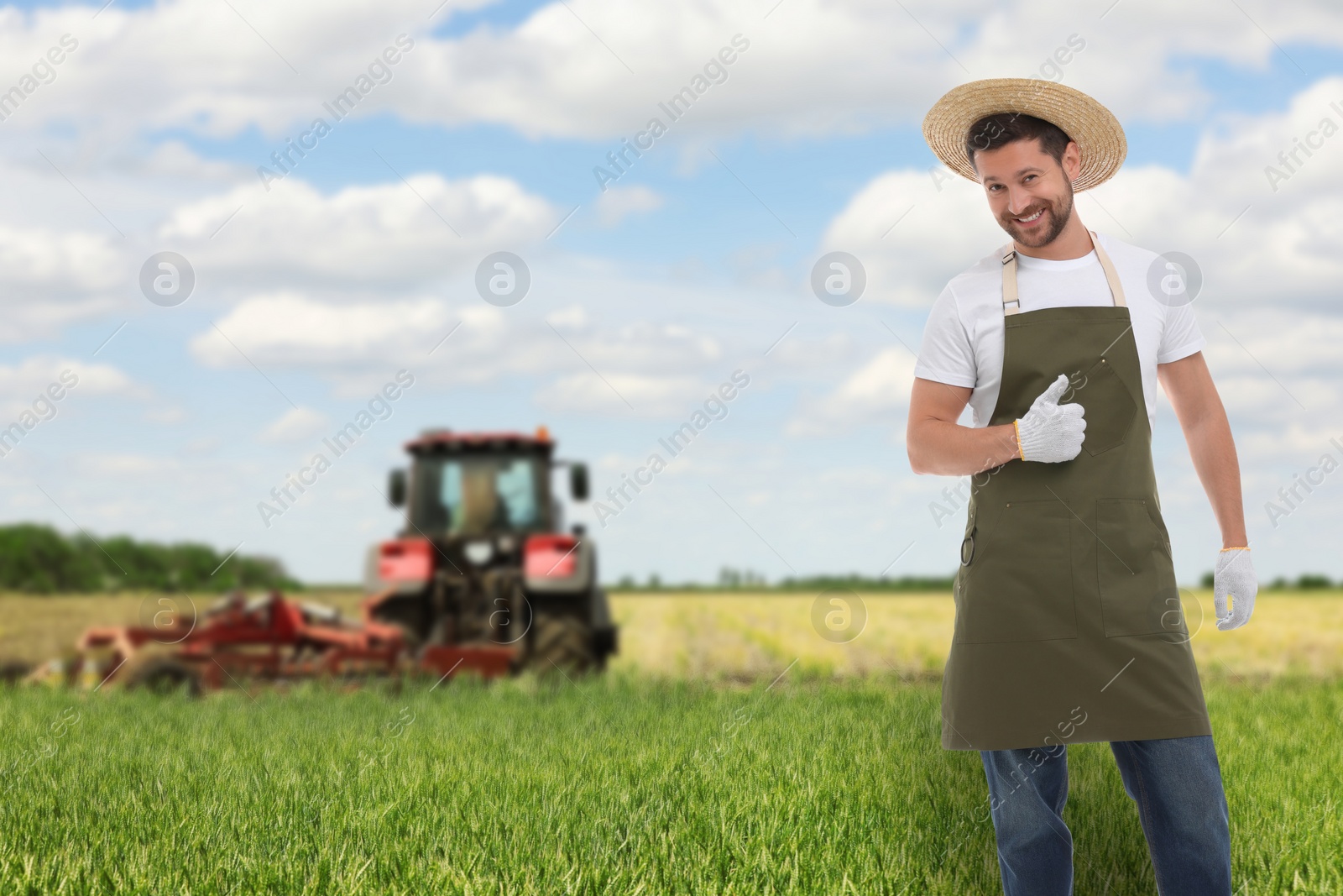 Image of Farmer showing thumbs-up in field. Harvesting season