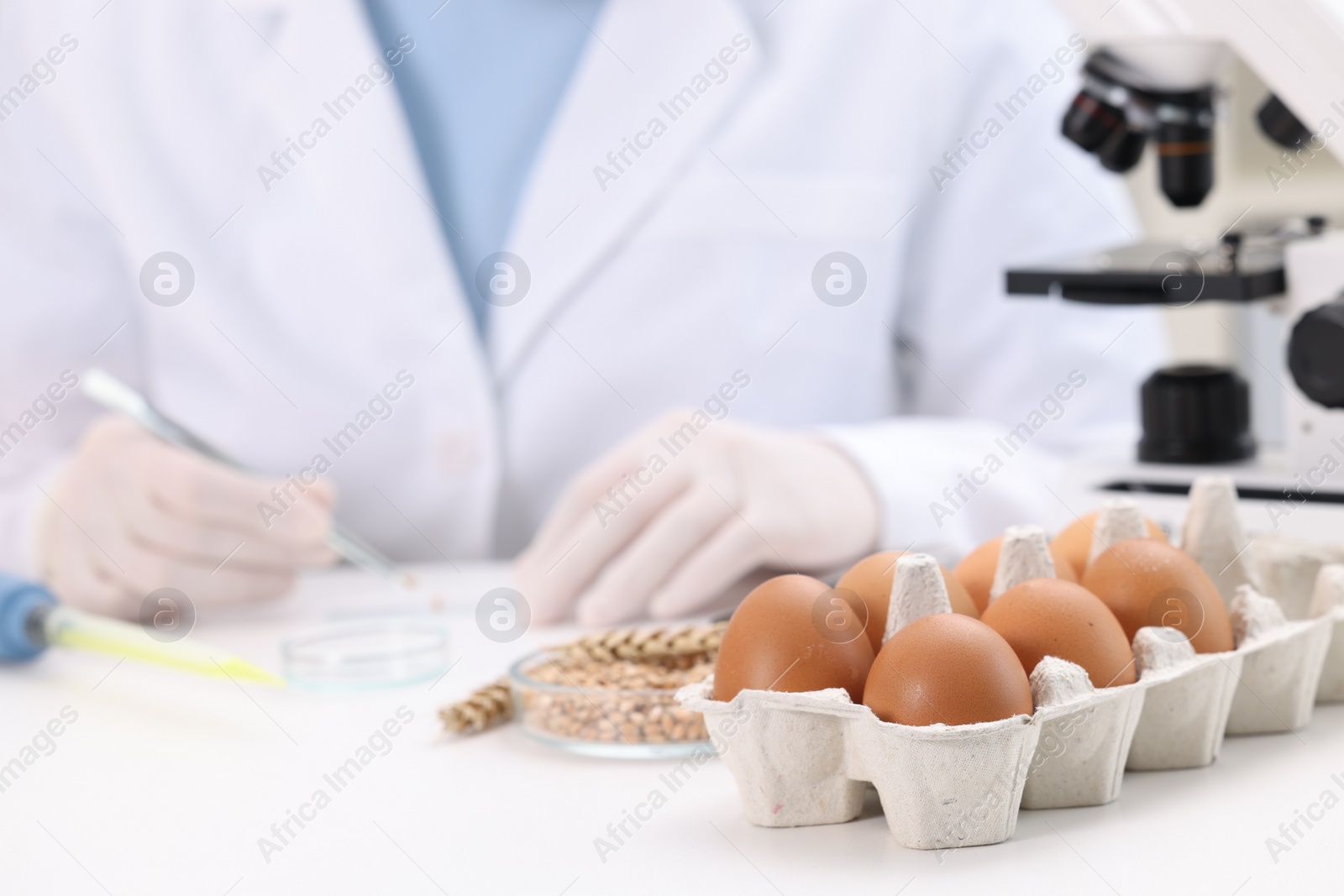 Photo of Quality control. Food inspector working in laboratory, focus on eggs